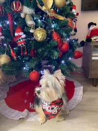 Dog Christmas Bandana Classic Buffalo Plaid Pets Scarf Triangle Bibs Kerchief for Small Medium Large Dogs Cats Pets