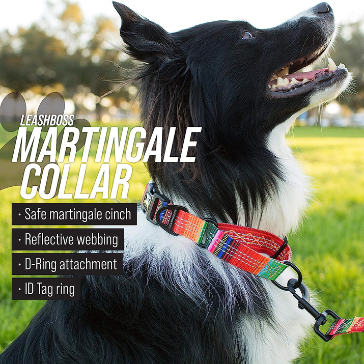 Premium Reflective Martingale Collar for Dogs | Adjustable No-Pull Training Collar for Large, Medium, and Small Breeds | Quick Release Buckle for Easy On/Off