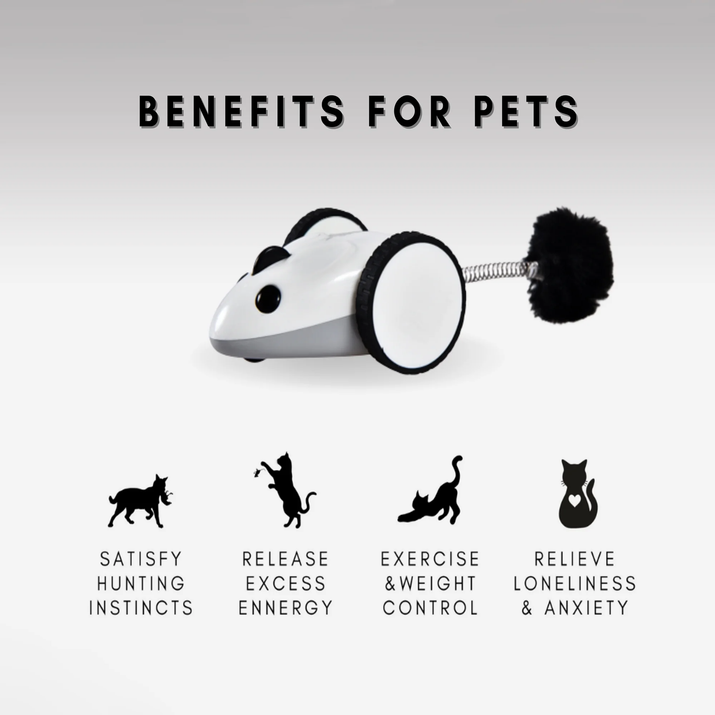 Engage Your Pet with the Purechase Smart Cat Toy – Interactive Mouse Toy with App Control, Adjustable Speed, and USB Rechargeable Features for Cats and Dogs