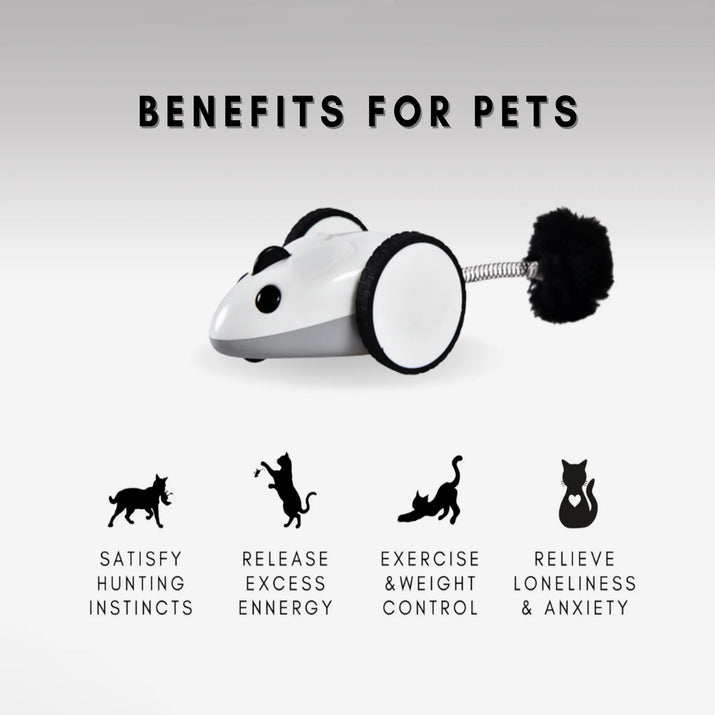 Engage Your Pet with the Purechase Smart Cat Toy – Interactive Mouse Toy with App Control, Adjustable Speed, and USB Rechargeable Features for Cats and Dogs