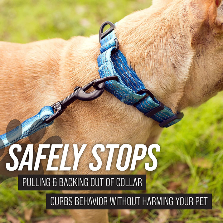 Premium Reflective Martingale Collar for Dogs | Adjustable No-Pull Training Collar for Large, Medium, and Small Breeds | Quick Release Buckle for Easy On/Off