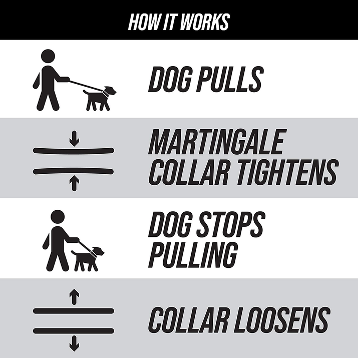 Premium Reflective Martingale Collar for Dogs | Adjustable No-Pull Training Collar for Large, Medium, and Small Breeds | Quick Release Buckle for Easy On/Off