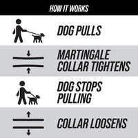 Premium Reflective Martingale Collar for Dogs | Adjustable No-Pull Training Collar for Large, Medium, and Small Breeds | Quick Release Buckle for Easy On/Off