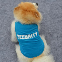 Charming Blue Dog Printed Pullover - Cozy Winter Sweater for Small Dogs and Cats