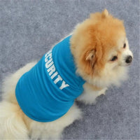 Charming Blue Dog Printed Pullover - Cozy Winter Sweater for Small Dogs and Cats