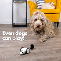 Engage Your Pet with the Purechase Smart Cat Toy – Interactive Mouse Toy with App Control, Adjustable Speed, and USB Rechargeable Features for Cats and Dogs