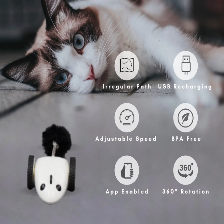 Engage Your Pet with the Purechase Smart Cat Toy – Interactive Mouse Toy with App Control, Adjustable Speed, and USB Rechargeable Features for Cats and Dogs