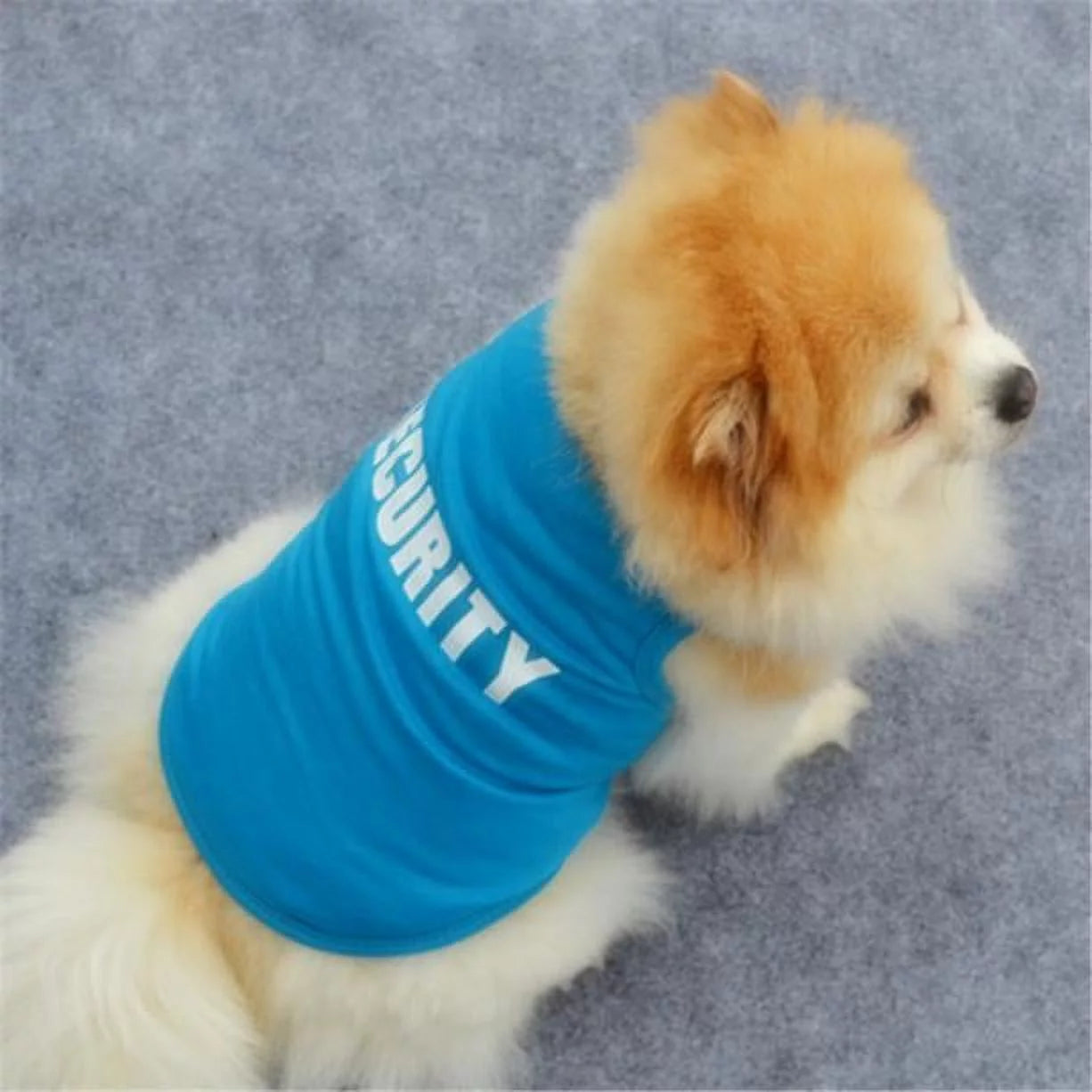 Charming Blue Dog Printed Pullover - Cozy Winter Sweater for Small Dogs and Cats