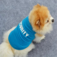 Charming Blue Dog Printed Pullover - Cozy Winter Sweater for Small Dogs and Cats