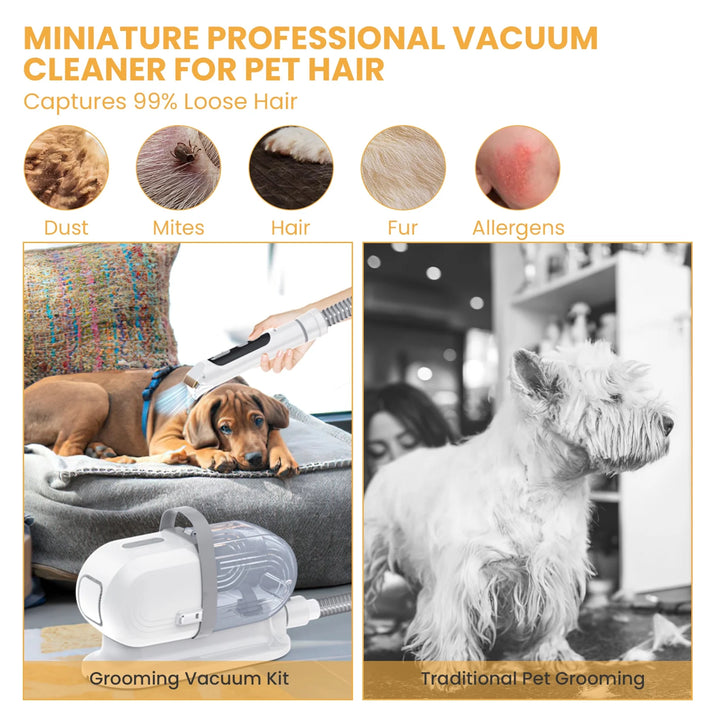 Revolutionary Pet Grooming Vacuum: 13000Pa Suction, 5-in-1 Kit for Effortless Dog & Cat Grooming at Home!