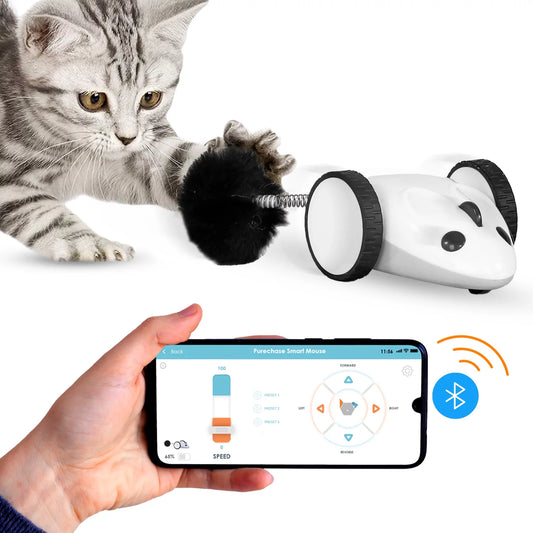 Engage Your Pet with the Purechase Smart Cat Toy – Interactive Mouse Toy with App Control, Adjustable Speed, and USB Rechargeable Features for Cats and Dogs