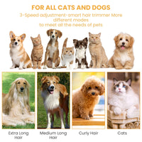 Revolutionary Pet Grooming Vacuum: 13000Pa Suction, 5-in-1 Kit for Effortless Dog & Cat Grooming at Home!